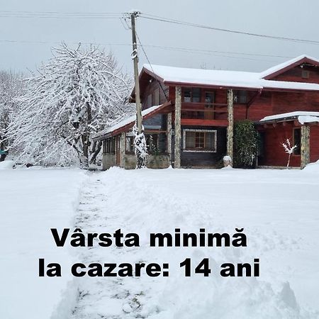 Casa Bunicului Villa Vistisoara Dış mekan fotoğraf