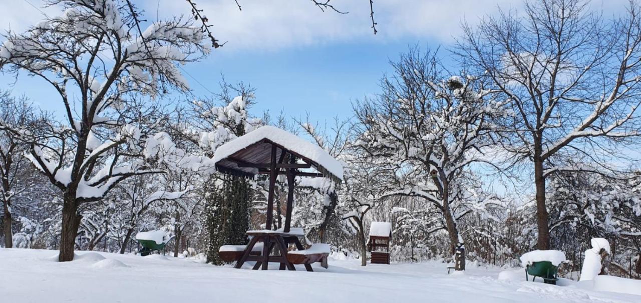 Casa Bunicului Villa Vistisoara Dış mekan fotoğraf