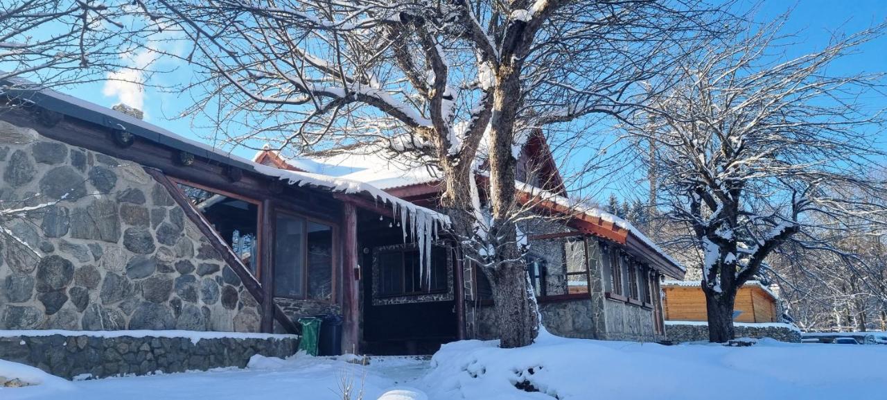 Casa Bunicului Villa Vistisoara Dış mekan fotoğraf