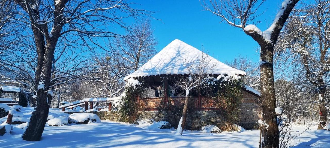 Casa Bunicului Villa Vistisoara Dış mekan fotoğraf
