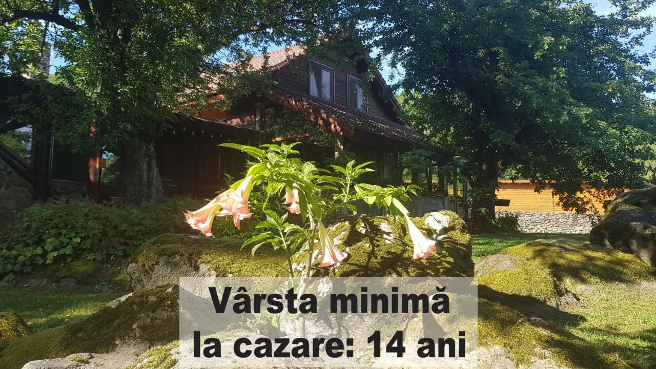 Casa Bunicului Villa Vistisoara Dış mekan fotoğraf
