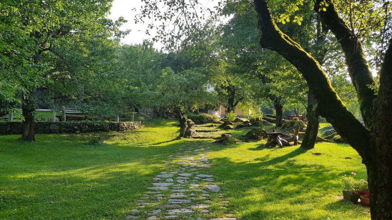 Casa Bunicului Villa Vistisoara Dış mekan fotoğraf