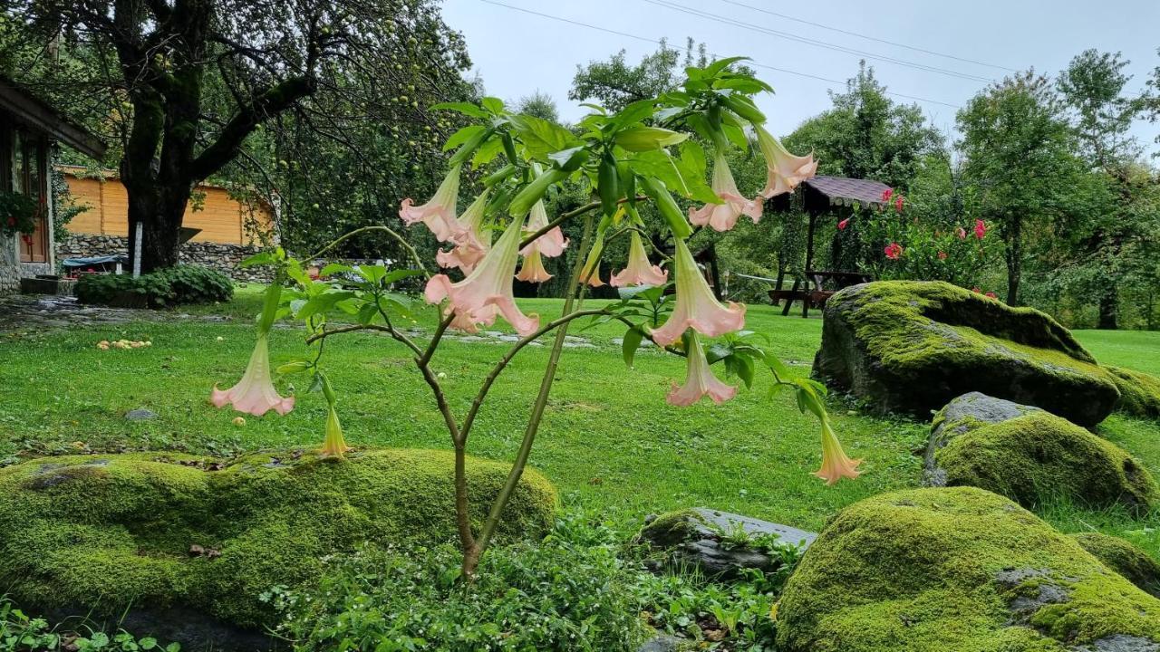 Casa Bunicului Villa Vistisoara Dış mekan fotoğraf