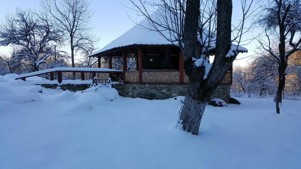 Casa Bunicului Villa Vistisoara Dış mekan fotoğraf