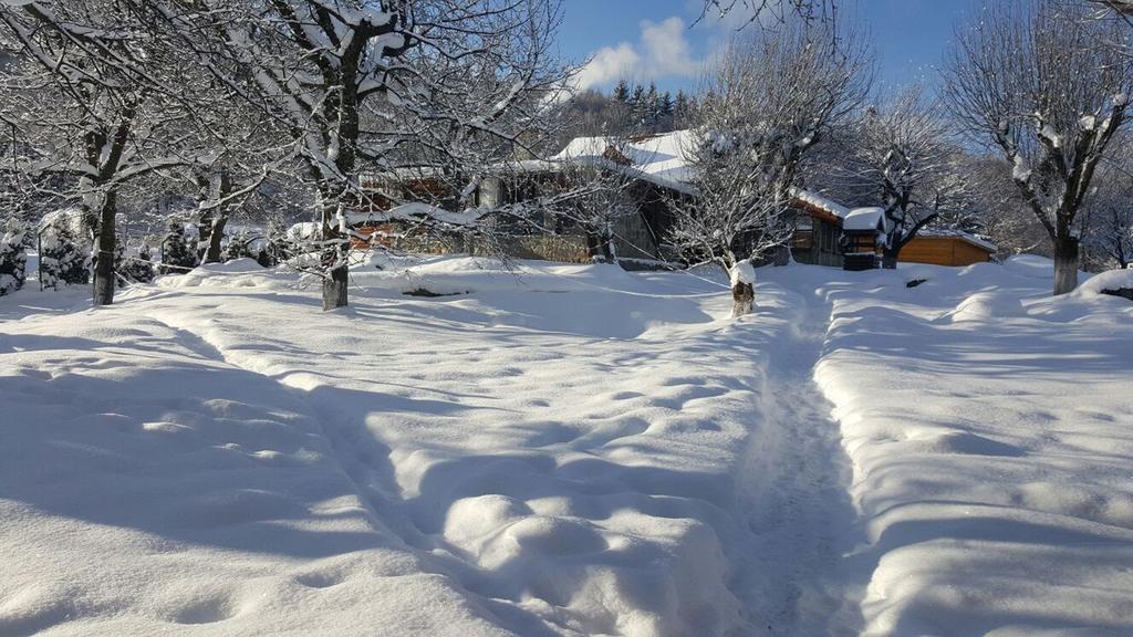 Casa Bunicului Villa Vistisoara Dış mekan fotoğraf