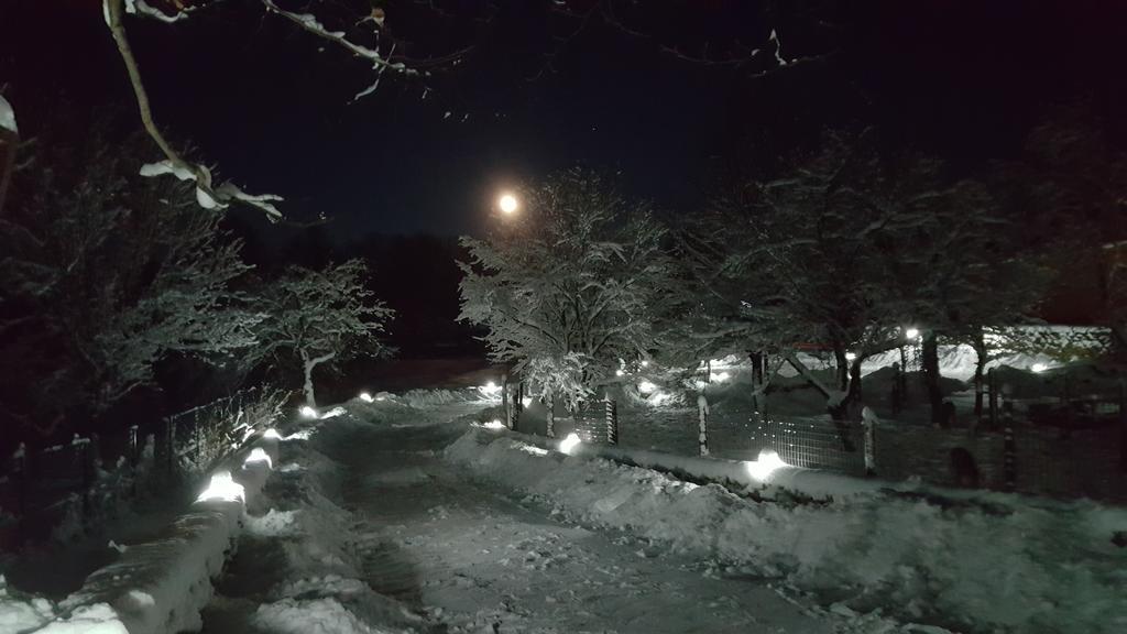 Casa Bunicului Villa Vistisoara Dış mekan fotoğraf