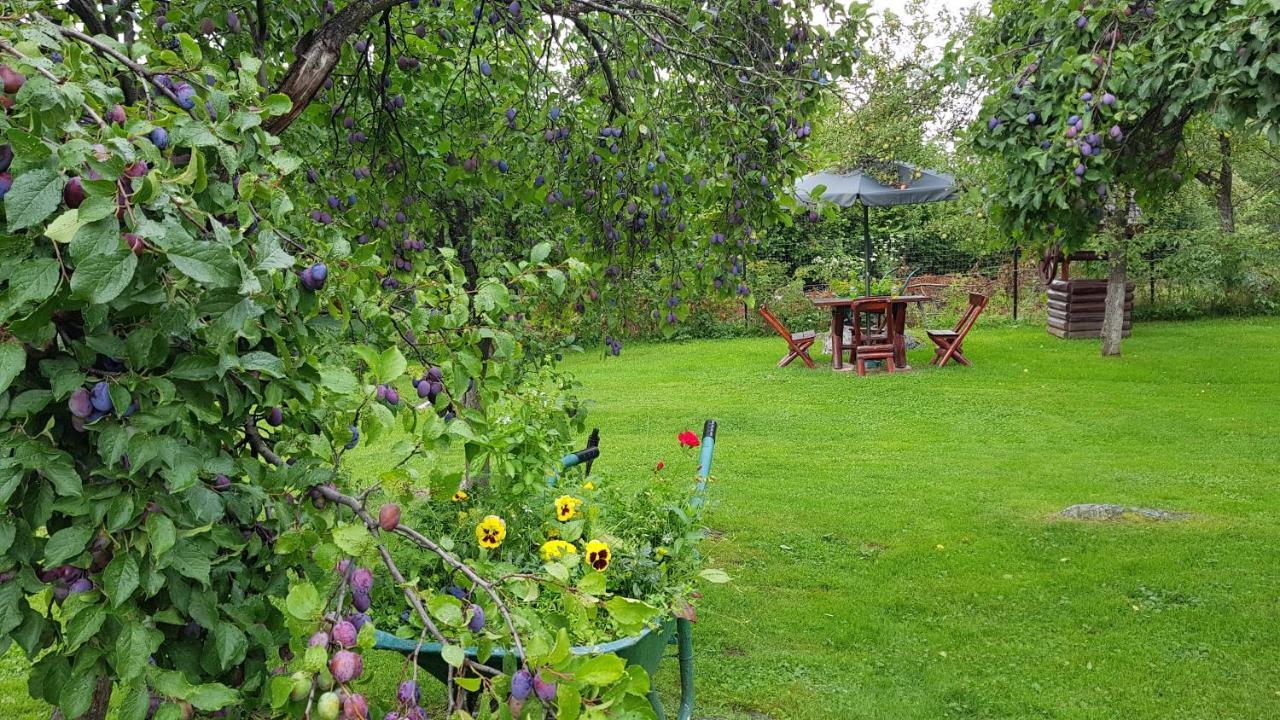 Casa Bunicului Villa Vistisoara Dış mekan fotoğraf