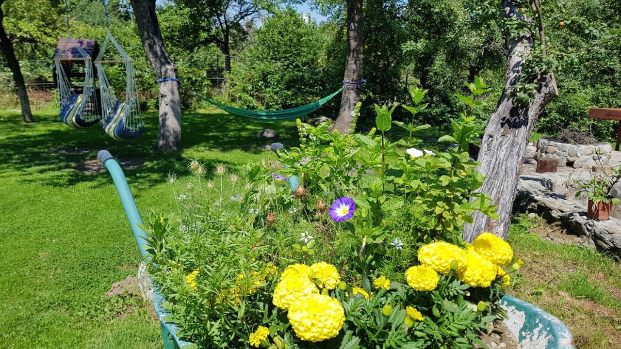 Casa Bunicului Villa Vistisoara Dış mekan fotoğraf