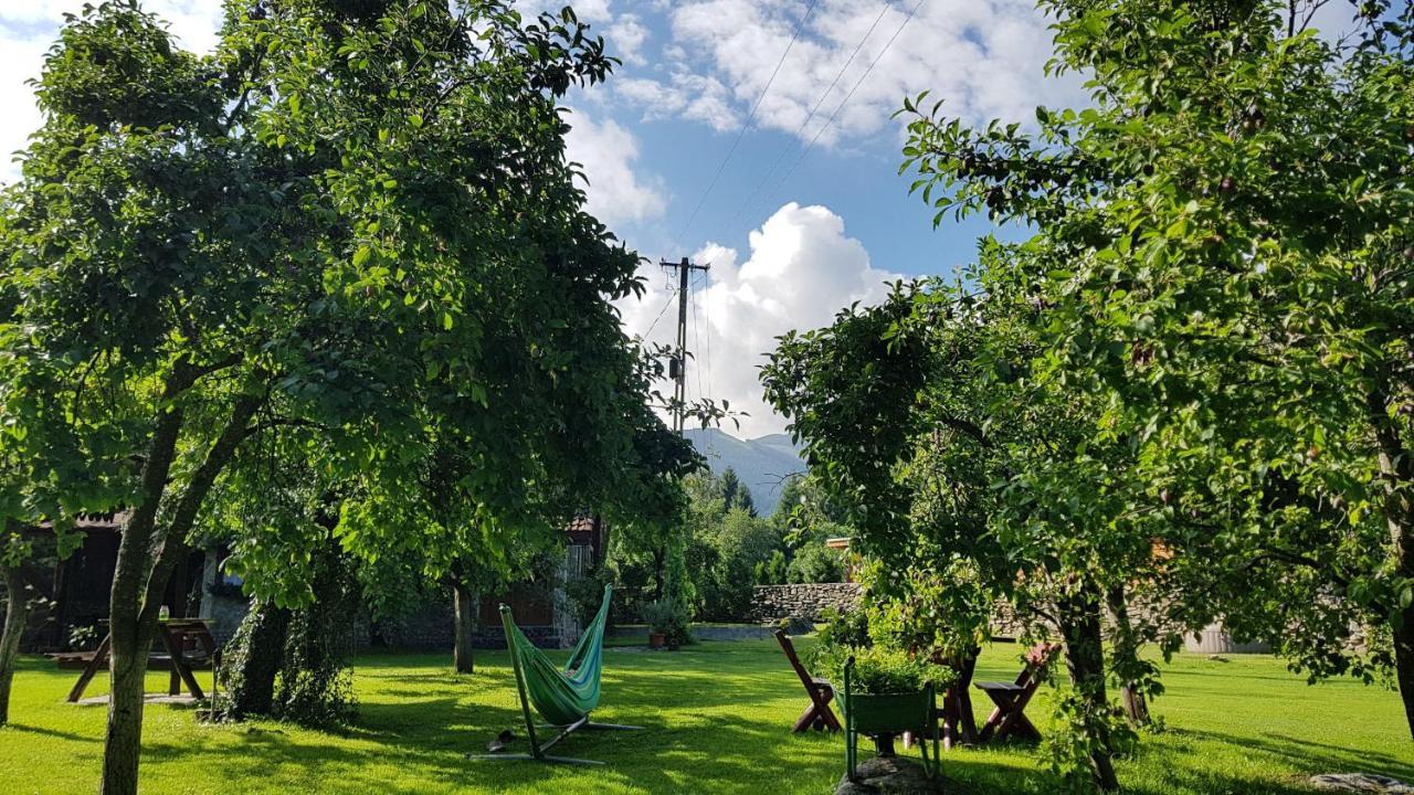 Casa Bunicului Villa Vistisoara Dış mekan fotoğraf