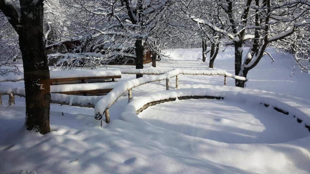Casa Bunicului Villa Vistisoara Dış mekan fotoğraf