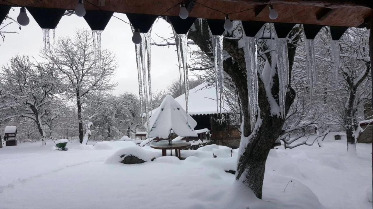 Casa Bunicului Villa Vistisoara Dış mekan fotoğraf
