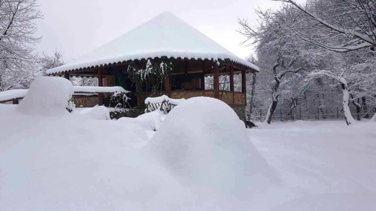 Casa Bunicului Villa Vistisoara Dış mekan fotoğraf