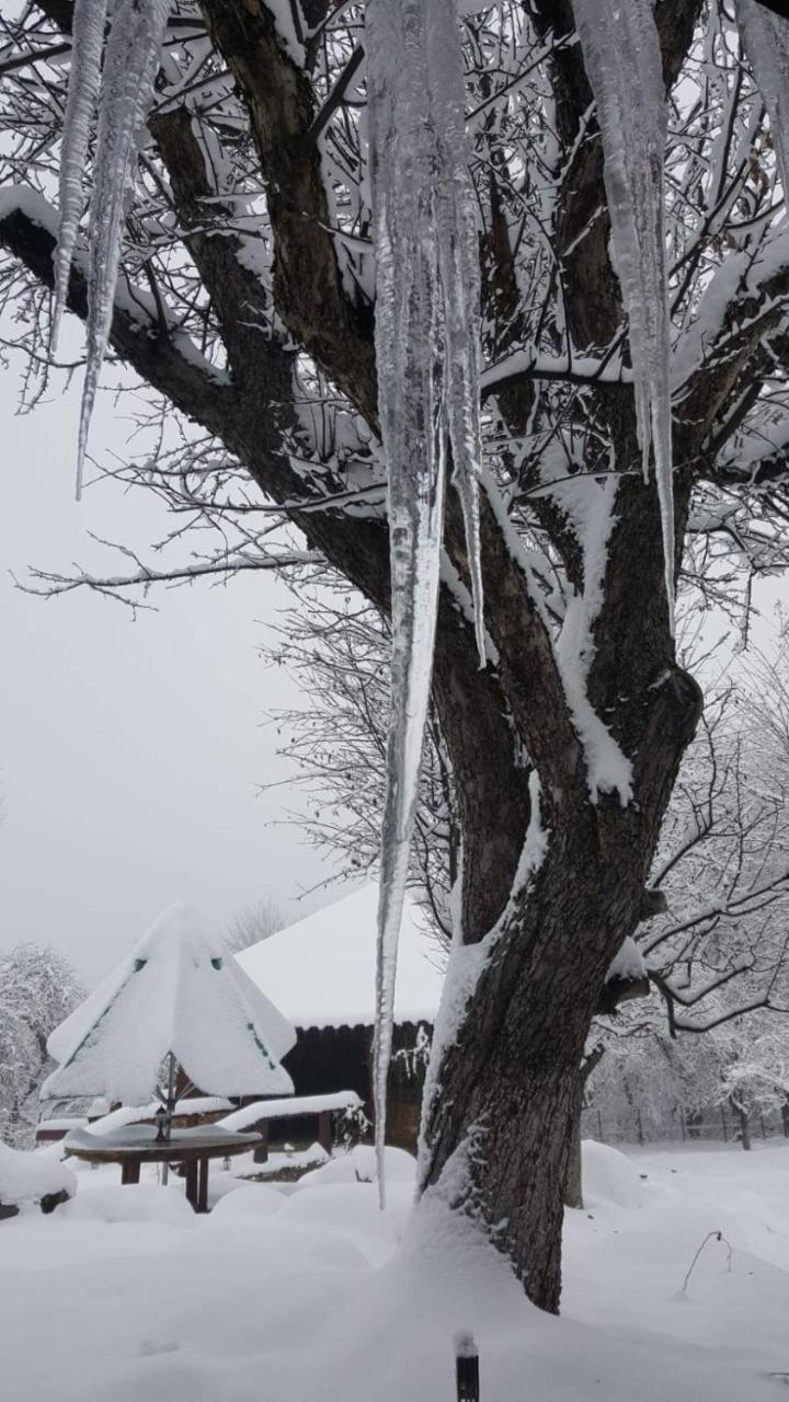 Casa Bunicului Villa Vistisoara Dış mekan fotoğraf