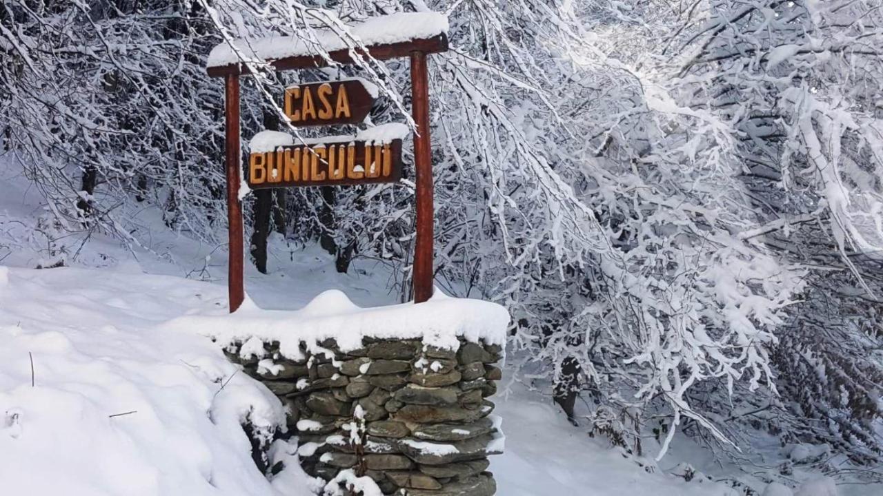 Casa Bunicului Villa Vistisoara Dış mekan fotoğraf