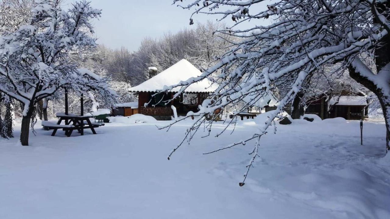 Casa Bunicului Villa Vistisoara Dış mekan fotoğraf